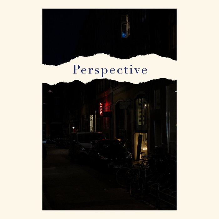 Perspective
